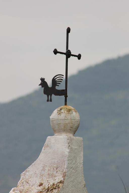 Masseria Gianecchia 奇斯泰尼诺 外观 照片