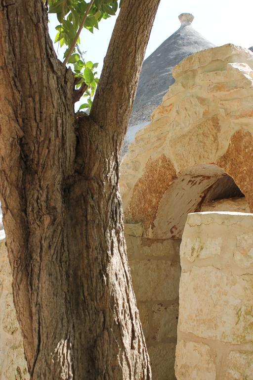 Masseria Gianecchia 奇斯泰尼诺 外观 照片