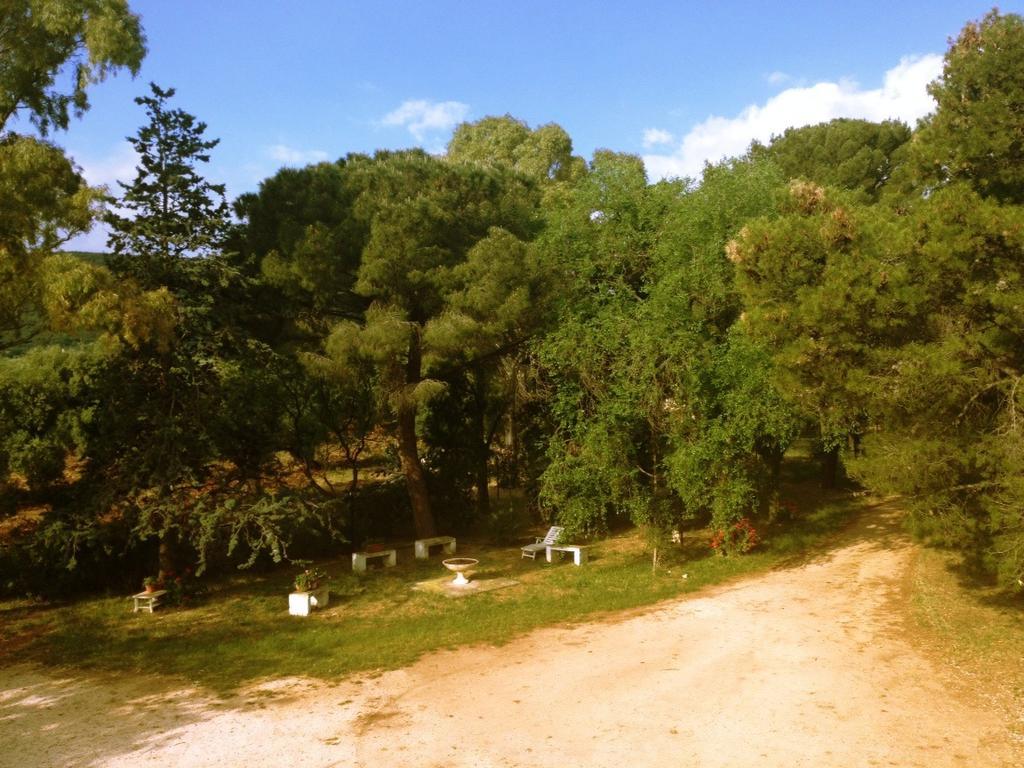 Masseria Gianecchia 奇斯泰尼诺 外观 照片
