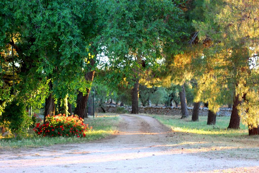 Masseria Gianecchia 奇斯泰尼诺 外观 照片