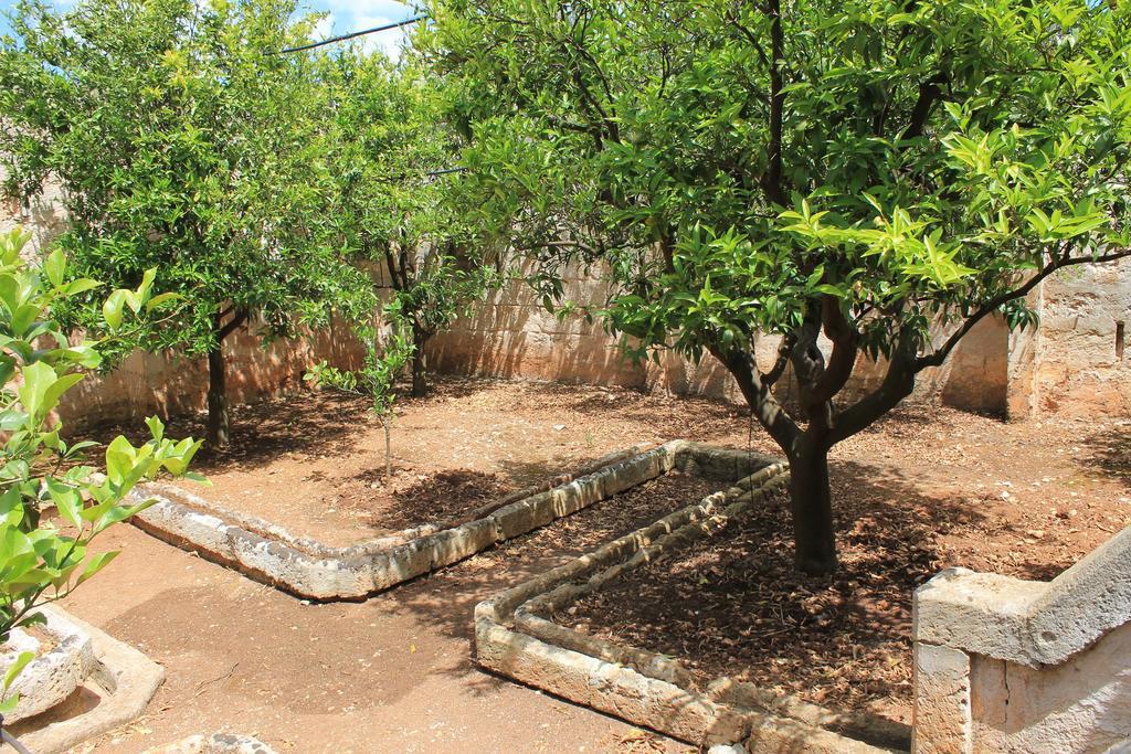 Masseria Gianecchia 奇斯泰尼诺 外观 照片
